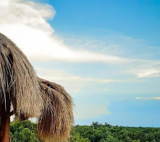 Hotel Naajal Boutique - Magic & Jungle