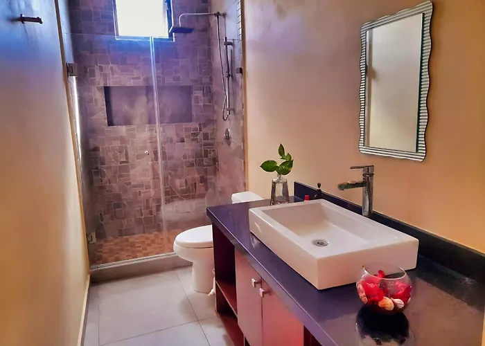 Hotel Naajal Boutique - Magic & Jungle
